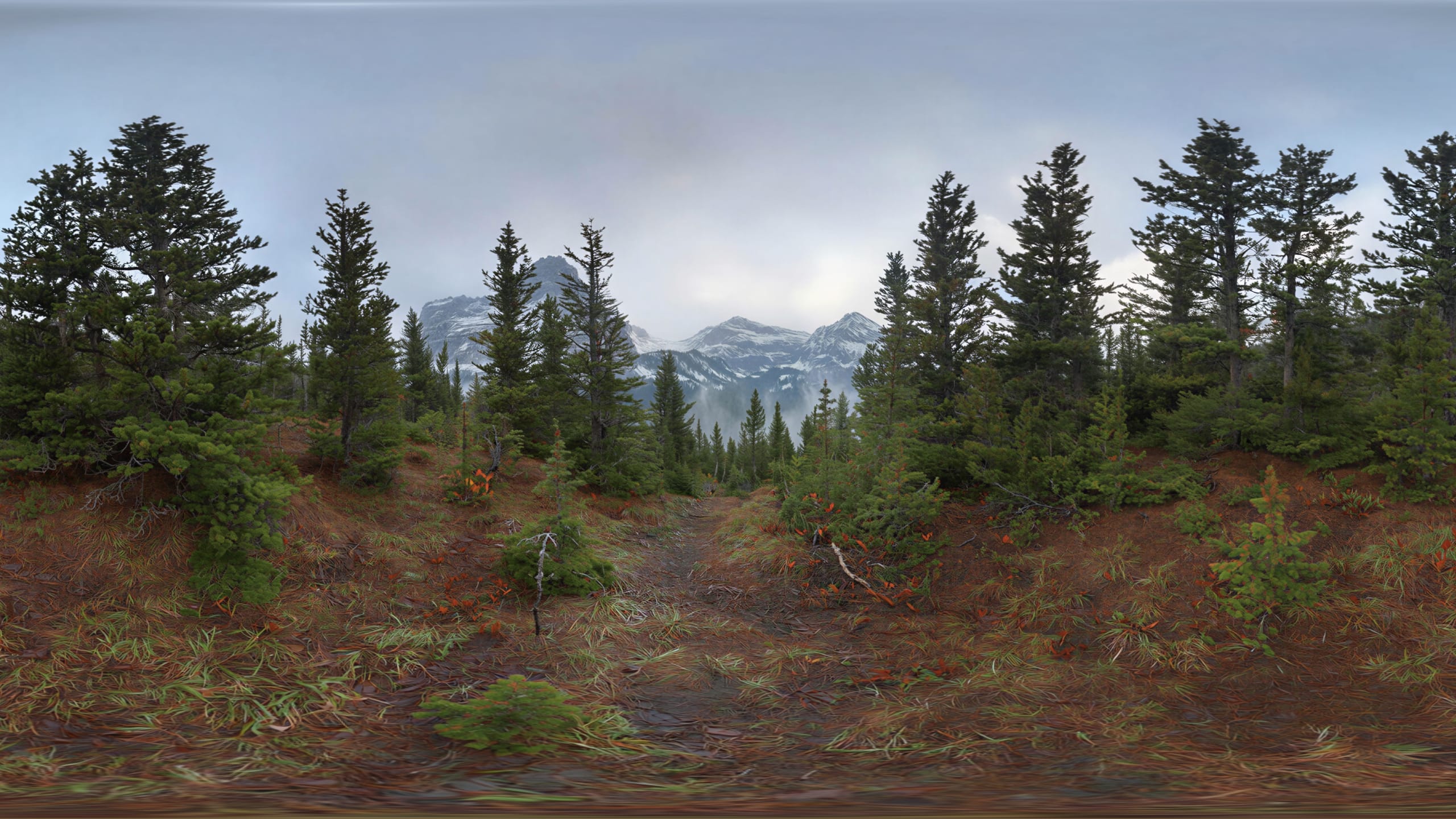 Skybox AI
