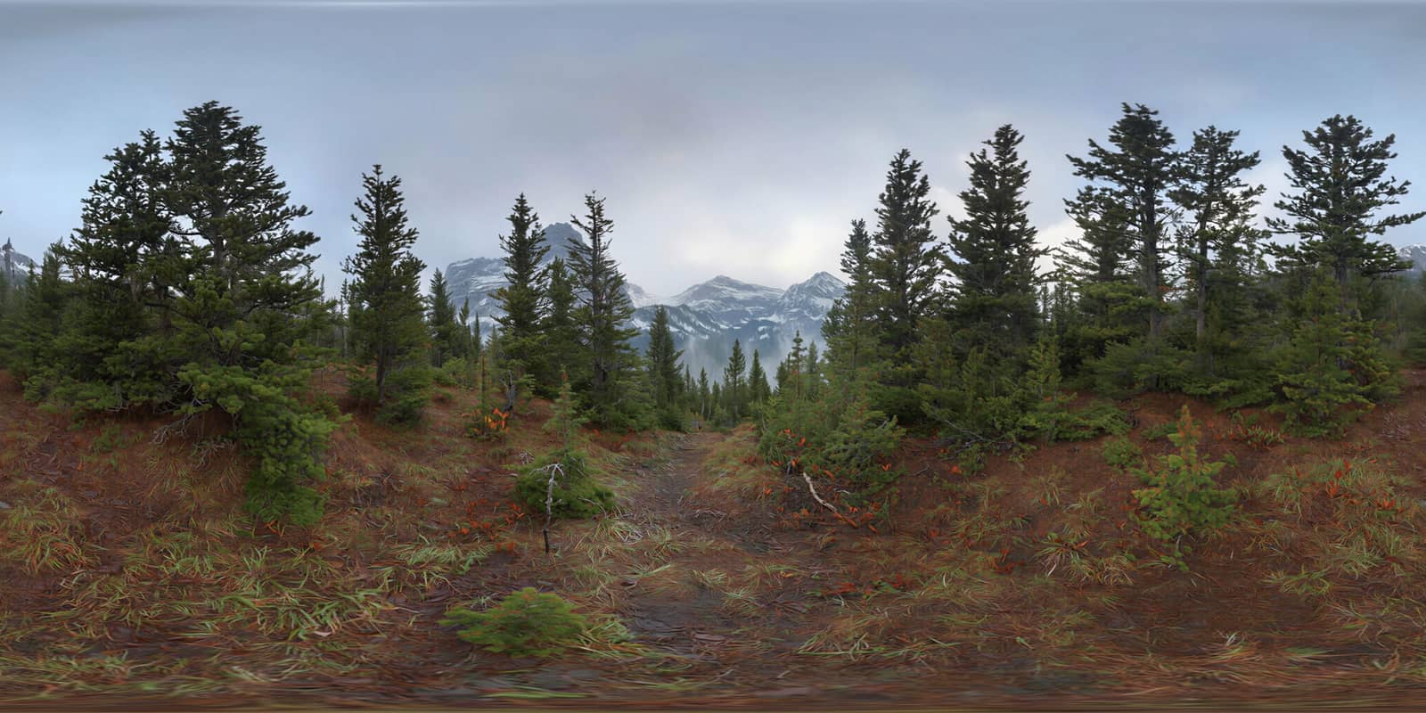 Model 4 preview for Skies. Soft golden hour light over a misty pine valley with distant snow peaks